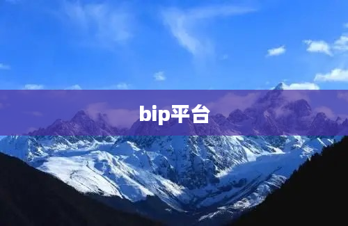 bip平台