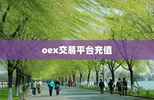oex交易平台充值