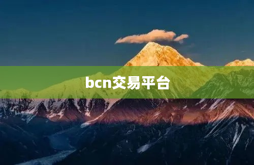 bcn交易平台