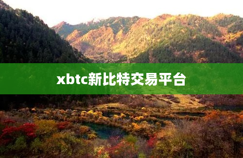 xbtc新比特交易平台