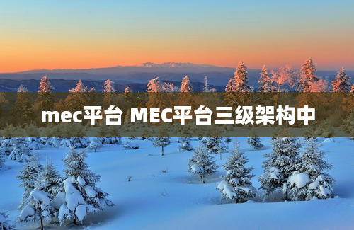 mec平台 MEC平台三级架构中